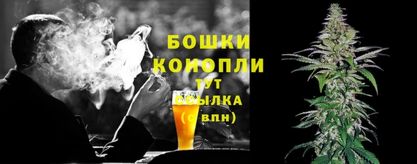 ПСИЛОЦИБИНОВЫЕ ГРИБЫ Абаза
