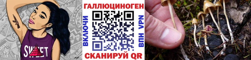 Галлюциногенные грибы мухоморы  где найти наркотики  Зеленокумск 
